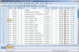 SPSS