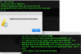 Java Runtime Environment