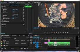 Adobe Premiere Pro