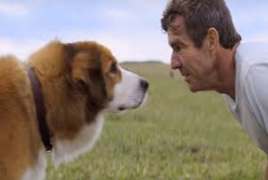 A Dogs Purpose 2017