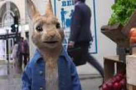 Peter Rabbit 2