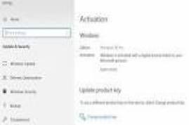 Windows 10 Activator