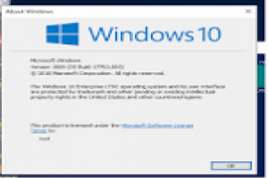 Windows 10 Entreprise LTSC 2019