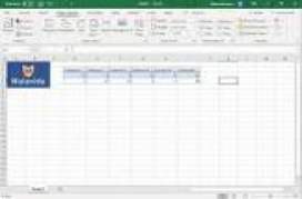 Microsoft Excel