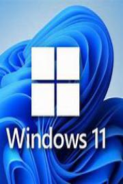 Windows 11 Pro 22H2 b22623.730 x64 Pre-Activated (No TPM) - 