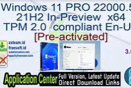 Windows 11 Pro 22000.258 Virtual Machine (VMware)