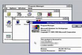 Windows for Workgroups 3.11 & MS-DOS 6.22